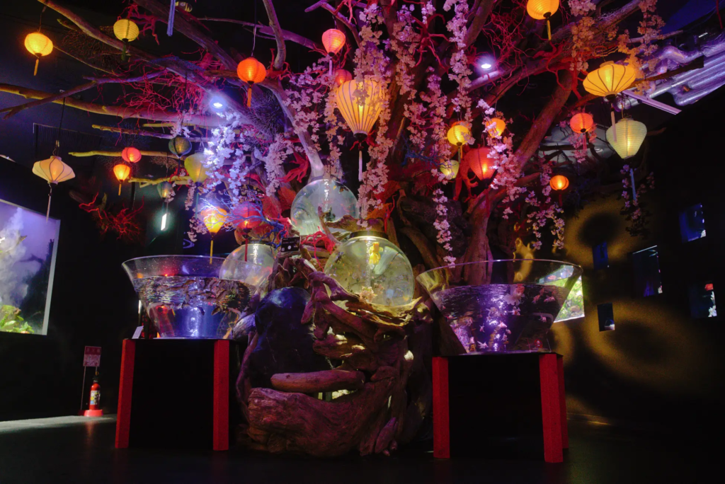 image-1-1024x684.png